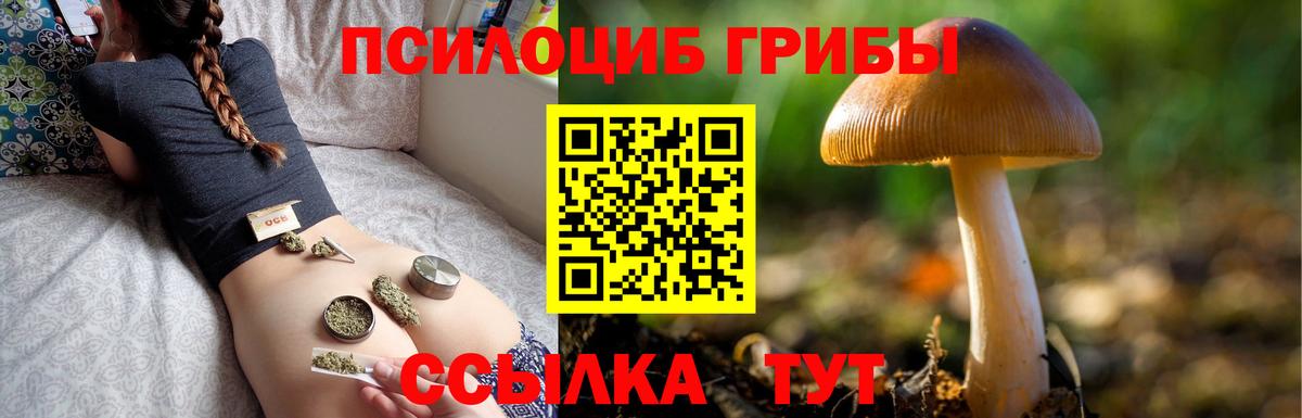 Псилоцибиновые грибы прущие грибы  Вход с VPN  Тула 
